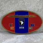 101st Brigade Troops Battalion, "One Team One Fight", Type 3