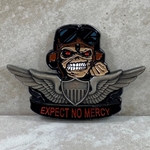 1st Battalion, 101st Aviation Regiment "Expect No Mercy"