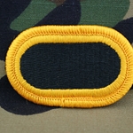 Patch, 101st Airborne Division Without Tab, Color
