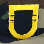 Patch, 101st Airborne Division Without Tab, Color