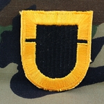 Patch, 101st Airborne Division Without Tab, Color