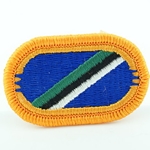 Patch, 101st Airborne Division Without Tab, Color