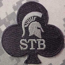 Special Troops Battalion, 327th Infantry Regiment, 1st Brigade Combat Team, 101st Airborne Division, Helmet Patch New Type