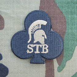 Special Troops Battalion, 1st Brigade Combat Team New Type MultiCam®