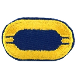 Patch, 101st Airborne Division Without Tab, Color