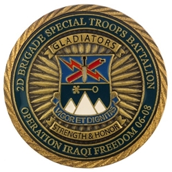 2nd Brigade Special Troops Battalion, 10th Mountain Division, Type 1