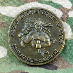 Bravo Company, 2nd Battalion, 5th Cavalry Regiment, Type 1