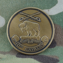 10th Cavalry Regiment, Type 1