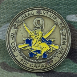 1st Squadron, 9th Cavalry Regiment, Type 1