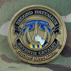 2nd Battalion, 7th Cavalry Regiment, Type 1