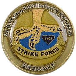 2nd Battalion, 502nd Infantry Regiment "Strike Force" (♥), Type 4