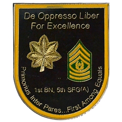 1st Battalion, 5th Special Forces Group (Airborne), Type 6