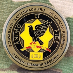 1st Squadron, 1st Cavalry Regiment, Type 1