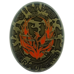 3rd General Support Aviation Battalion, 10th Aviation Regiment (Phoenix), Type 1