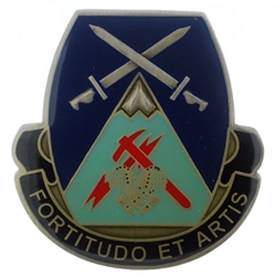 3rd Brigade Special Troops Battalion, 10th Mountain Division, Type 1