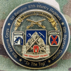 1st Battalion, 87th Infantry Regiment, 10th Mountain Division (LI), Type 1