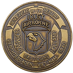 101st Airborne Division (Air Assault), Vietnam-Iraq, Type 4