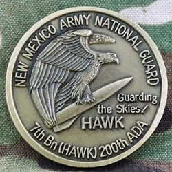7th Battalion, 200th Air Defense Artillery Regiment, Type 1