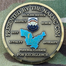 North Atlantic Regional Medical Command, CSM, Type 1
