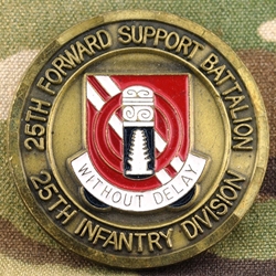 25th Forward Support Battalion, "Without Delay", Type 2