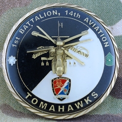 1st Battalion, 14th Aviation Regiment "Tomahawks", Type 1