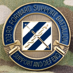 203rd Forward Support Battalion, Type 2