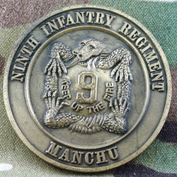 9th Infantry Regiment, Manchu, Type 2