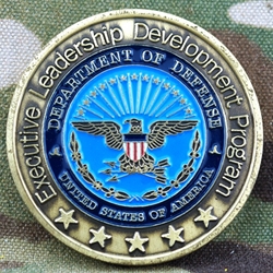 Executive Leadership Development Program, Type 2