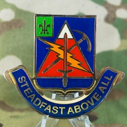 4th Brigade Special Troops Battalion, 10th Mountain Division, Type 1