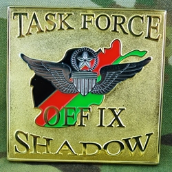 Task Force Shadow, 6th Battalion, 101st Aviation Regiment "Shadow of the Eagle", Type 1