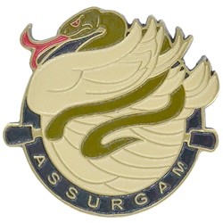 ReEnlist, 626th Brigade Support Battalion "Assurgam"