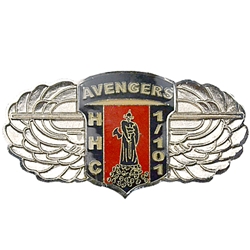 HHC, 1st Battalion, 101st Aviation Regiment "Avengers", Type 1