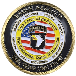 Task Force Eagle Assault, 5th Battalion, 101st Aviation Regiment "Eagle Assault", Type 1