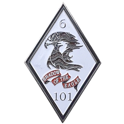 6th Battalion, 101st Aviation Regiment "Shadow of the Eagle", Type 3