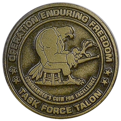 Task Force Talon, 101st Airborne Division (Air Assault), Commander's Coin , Type 10