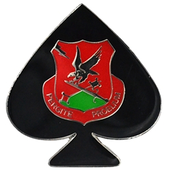 4th Brigade Special Troops Battalion, 4th Brigade Combat Team, 2 5/16" X 2 7/16"