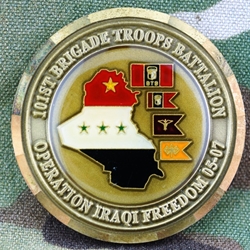 101st Brigade Troops Battalion, "One Team One Fight", Type 3