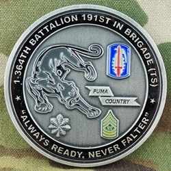 1st Training Support Battalion (TSBN) 364th Regiment, Type 1