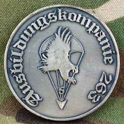 Ausbildungskompanie 263 - Training Company 263, Type 1