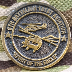 6th Battalion, 101st Aviation Regiment "Spirit of the Eagle", Type 1