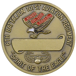 6th Battalion, 101st Aviation Regiment "Spirit of the Eagle", Type 2