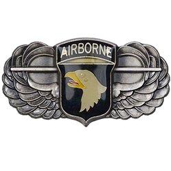 101st Airborne Division (Air Assault), Division Commander, Type 8