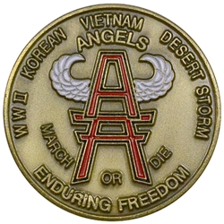 A Company, 3rd Battalion, 187th Infantry Regiment, Angels March or Die,  Type 1