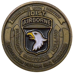 101st Airborne Division (Air Assault), Assistant Division Commander, Support, Type 1
