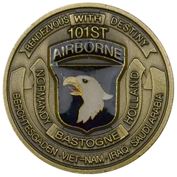 101st Airborne Division (Air Assault), Desert Storm 1991, Type 4