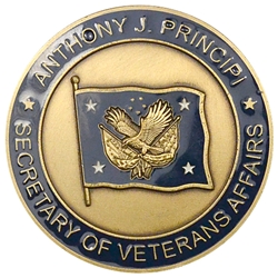 United States Secretary of Veterans Affairs, 4th Anthony Joseph Principi, Type 2