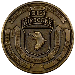 101st Airborne Division (Air Assault), Vietnam, CSM DAVID L. COOK, Type 4