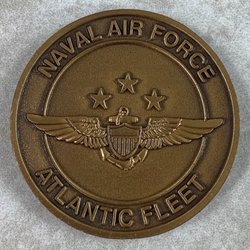 Commander, Naval Air Force U.S. Atlantic Fleet, Type 1