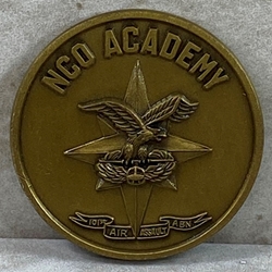 101st Airborne Division (Air Assault) NCO Academy, Type 2