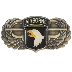 Headquarters, 101st Airborne Division (Air Assault), Type 2